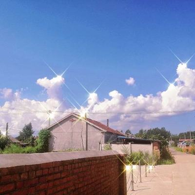 魂之守护测试版下载
