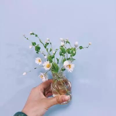 生存行动手游版
